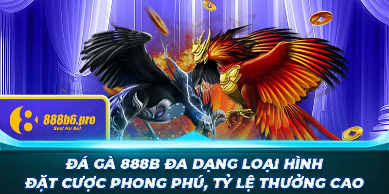 Đá gà 888B đa dạng loại hình đặt cược phong phú, tỷ lệ thưởng cao