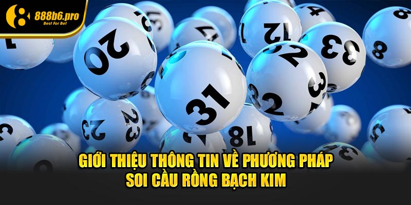 Giới thiệu thông tin về phương pháp soi cầu Rồng Bạch Kim